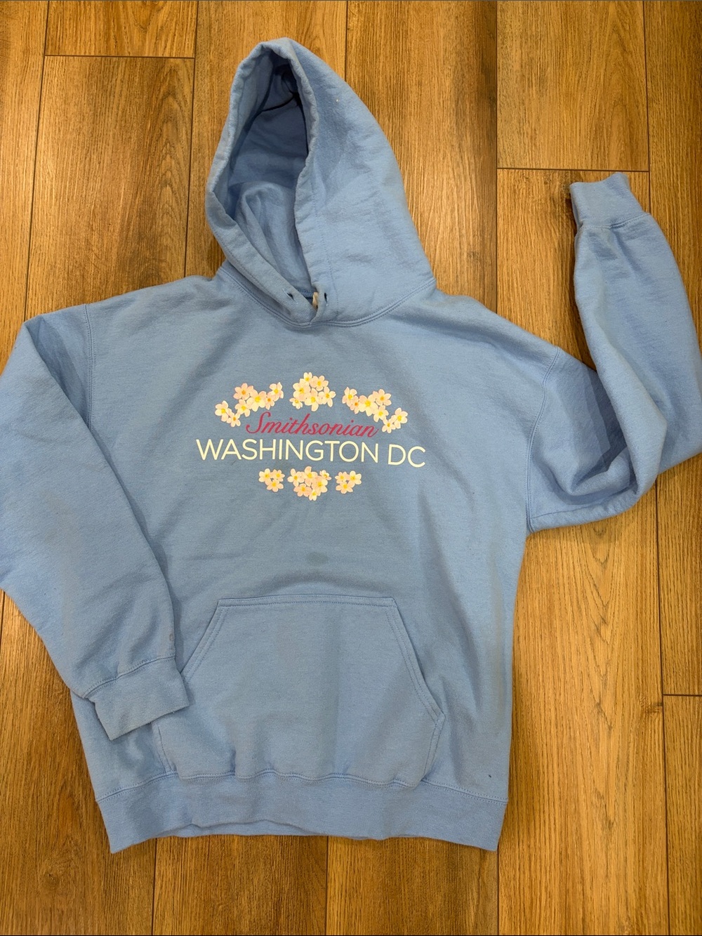Washington DC Light Blue Hoodie Smithsonian hooded sweatshirt | size medium